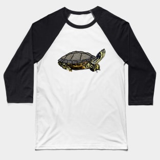 Box Turtle Baseball T-Shirt